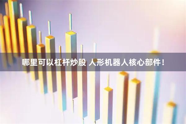 哪里可以杠杆炒股 人形机器人核心部件！