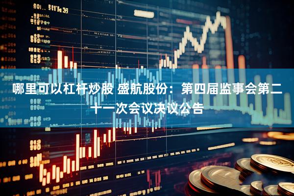 哪里可以杠杆炒股 盛航股份：第四届监事会第二十一次会议决议公告