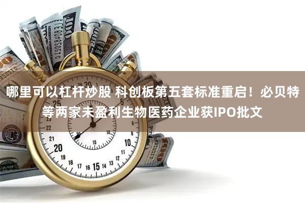 哪里可以杠杆炒股 科创板第五套标准重启！必贝特等两家未盈利生物医药企业获IPO批文