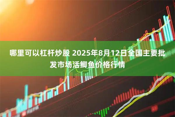 哪里可以杠杆炒股 2025年8月12日全国主要批发市场活鲫鱼价格行情